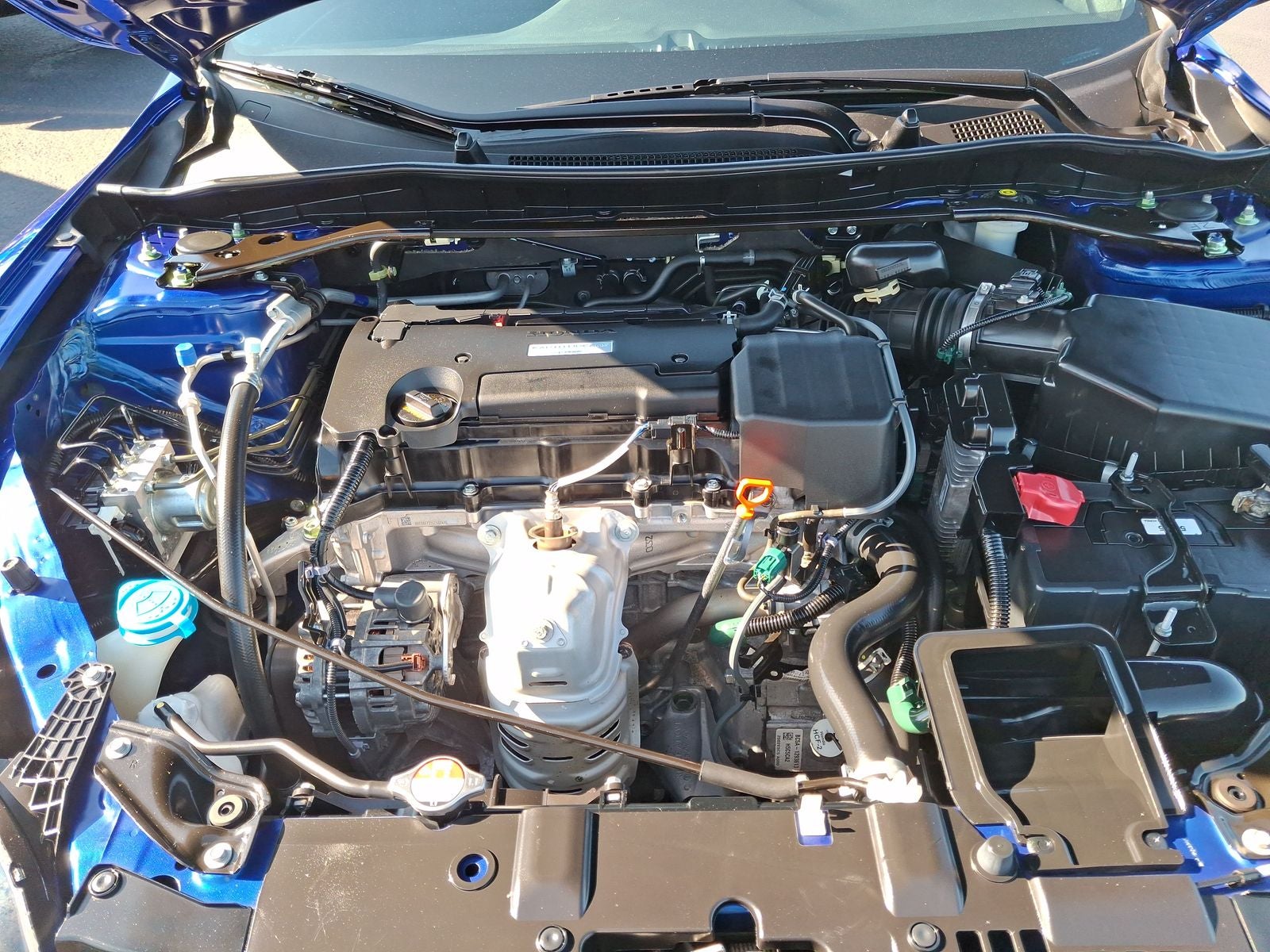 Photo 23