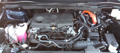 2021 Toyota Sienna XLE 7 Passenger