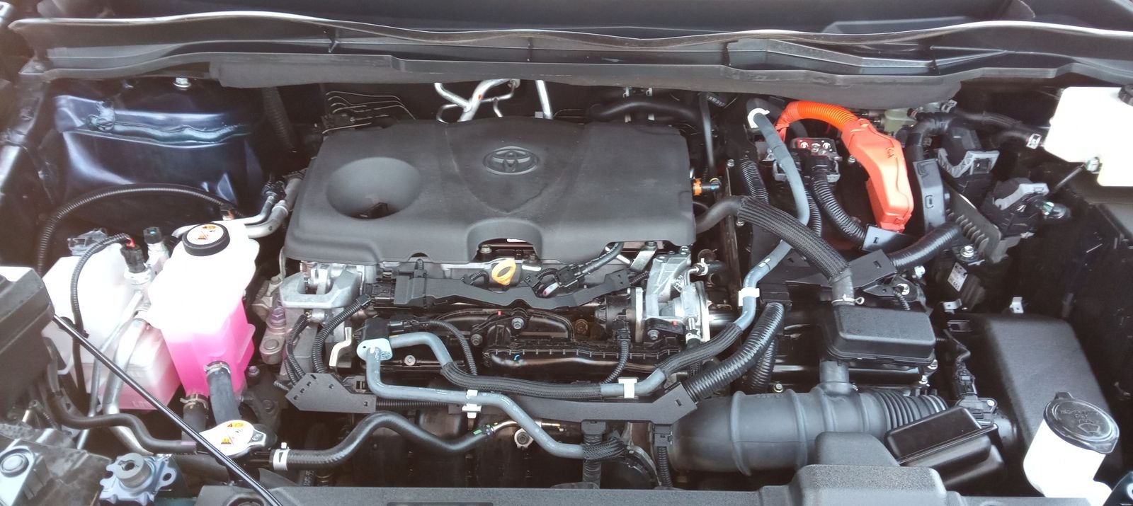 2021 Toyota Sienna XLE 7 Passenger