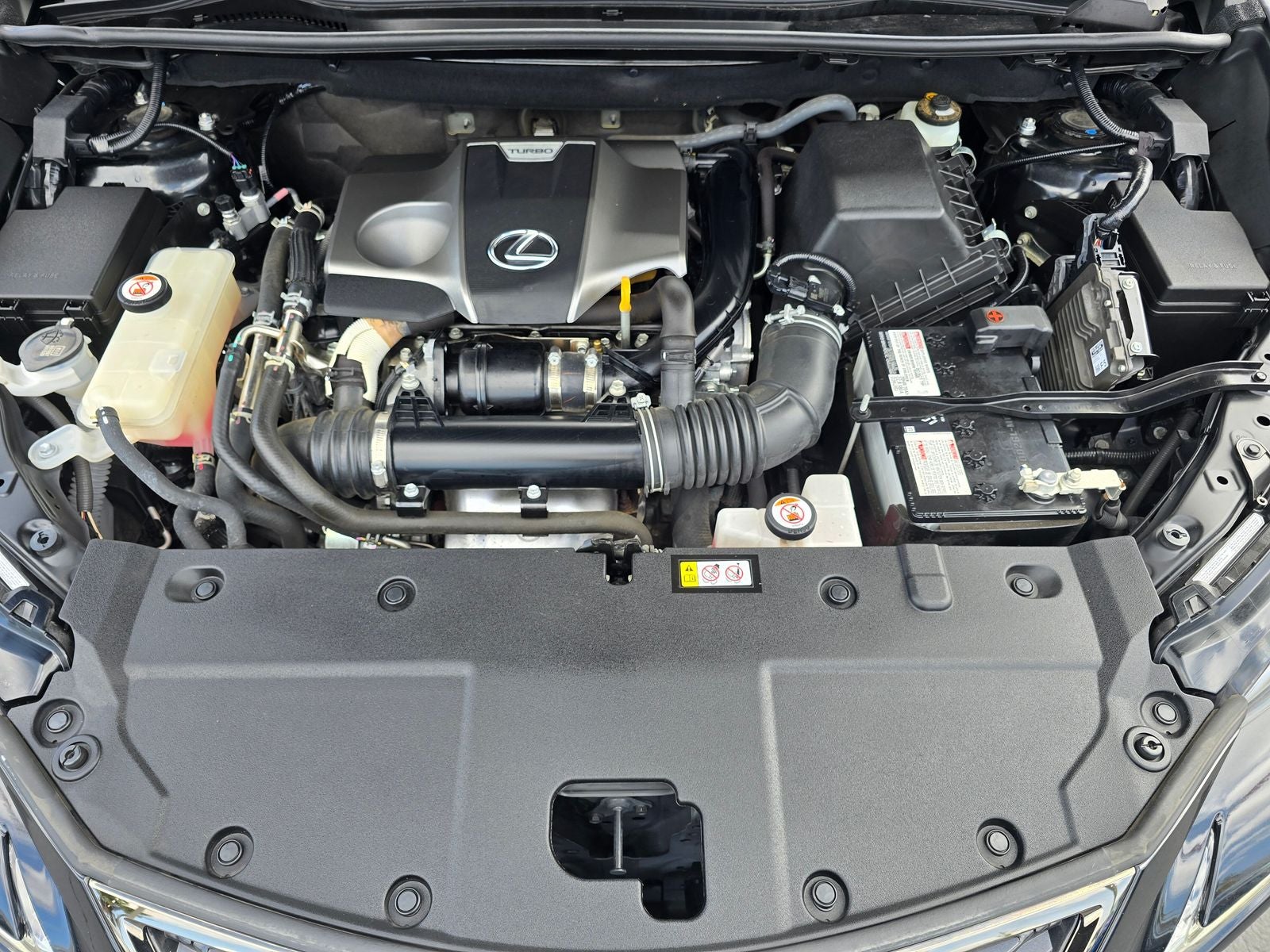 2021 Lexus NX 300 F Sport