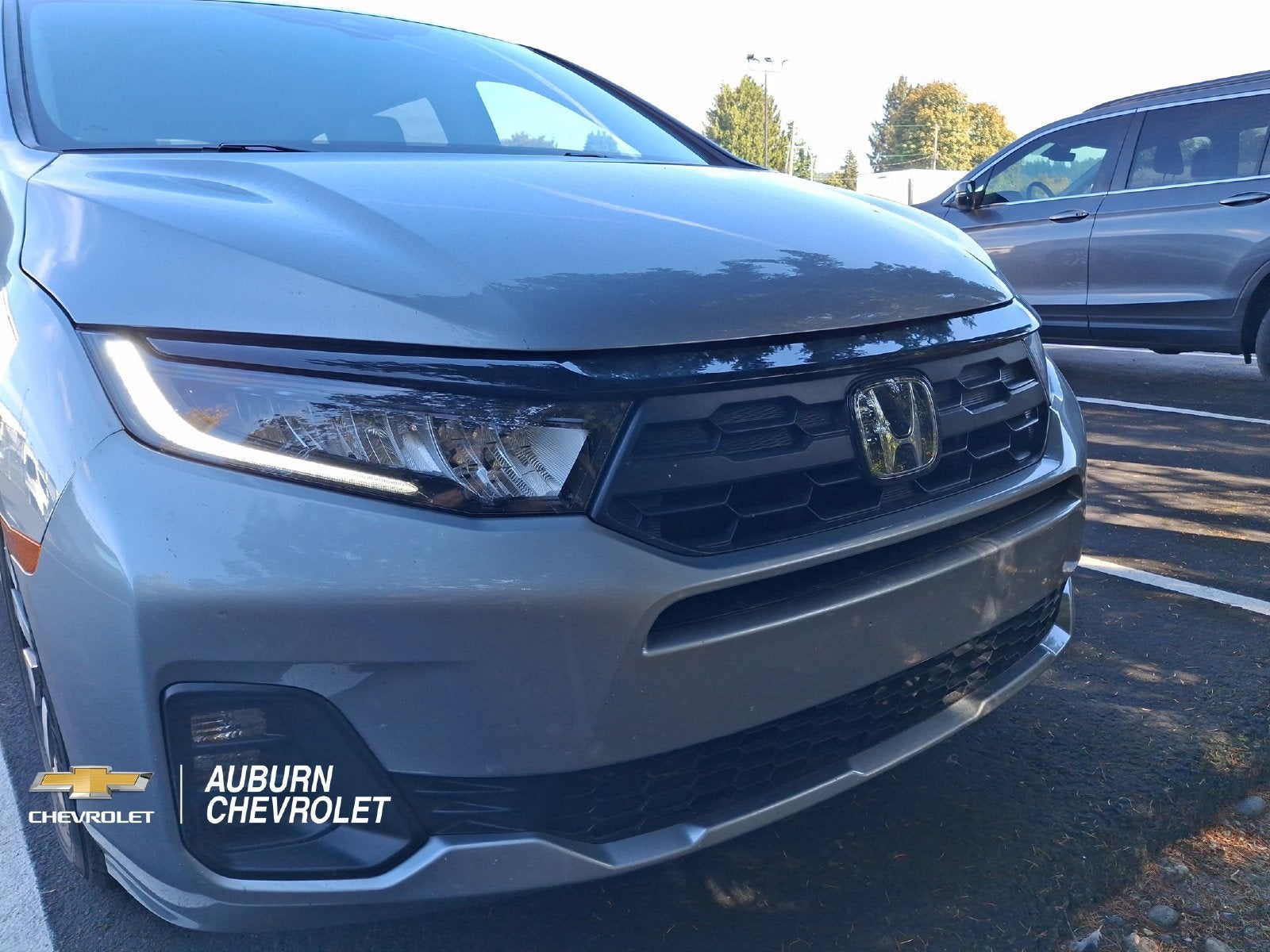 2025 Honda Odyssey EX-L